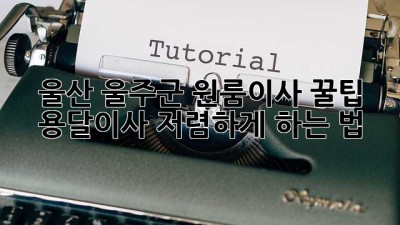 울산 울주군 원룸이사 꿀팁🍯: 용달이사 저렴하게 하는 법!