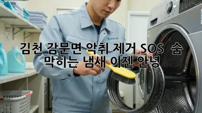 김천 감문면 악취 제거 SOS! 🚨 숨 막히는 냄새, 이젠 안녕! 👋